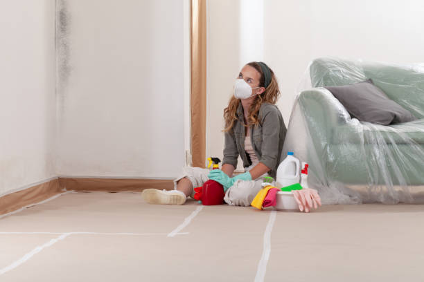 Reliable Mold Remediation contractor in Oviedo, FL by WQB Mold Removal